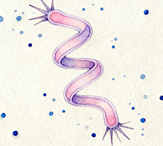 重磅發(fā)布！LD-ATP微生物細(xì)菌檢測(cè)儀升級(jí) 3.5 英寸觸摸屏，檢測(cè)效率再翻倍