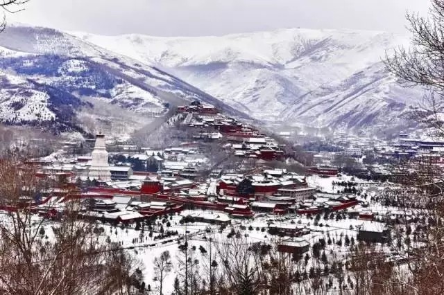 山西天罡赴佛教圣地五臺山為您祈福